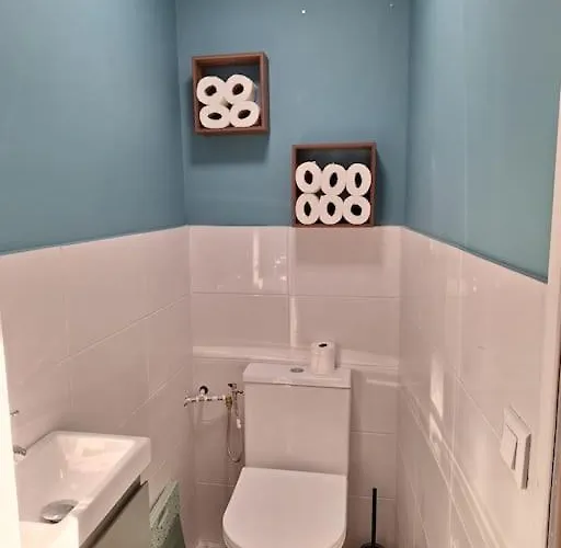 Maison De Vigne Pleine De Charme * Millau