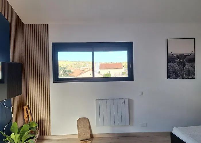 Villa Maison De Vigne Pleine De Charme Millau